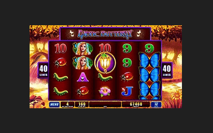 Exotic Butterfly WMS Internet Slot